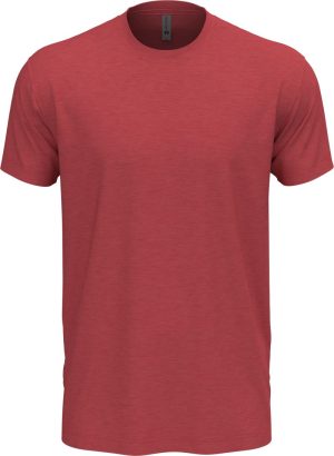 Next Level Apparel | N 6210